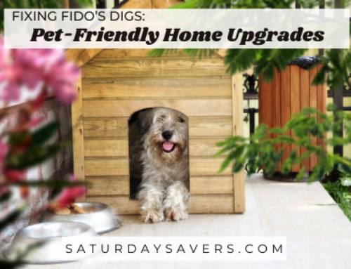 Fixing Fido’s Digs: Best Pet-Friendly Home Upgrades